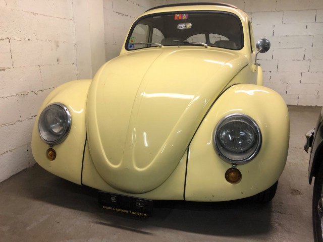 VW Käfer 1.6